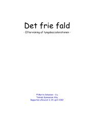 Rapport 29april_friefald_afleveret - martin theill johansen