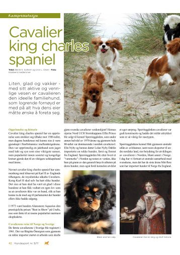 Cavalier king charles spaniel - Norsk Kennel Klub