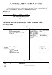 Naturvidenskabelig faggruppe 2011-2012