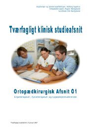 Projektbeskrivelse for studieafsnittet - Aalborg Universitetshospital ...