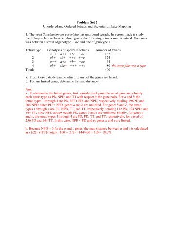 Problem Set 5