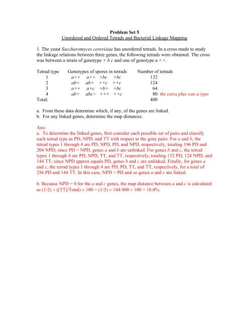 Problem Set 5