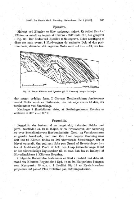 De istektoniske Forhold i Moleromraadet. - Dansk Geologisk Forening