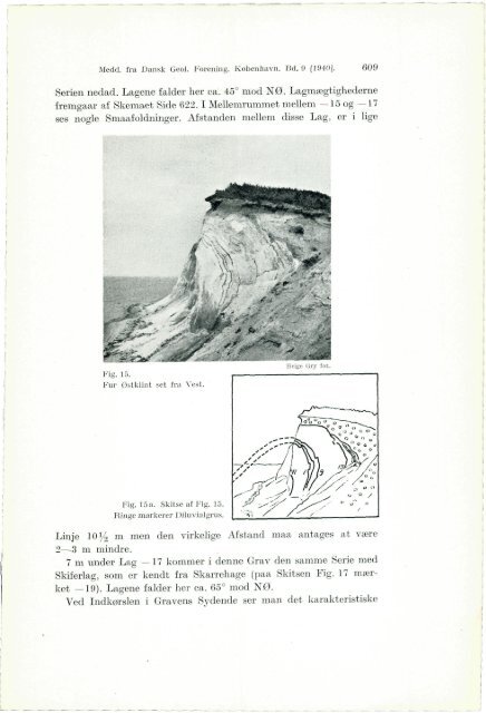 De istektoniske Forhold i Moleromraadet. - Dansk Geologisk Forening