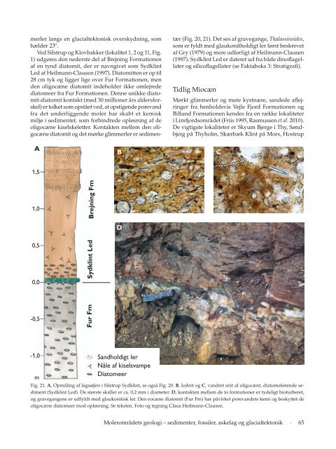 Hent pdf-fil - Dansk Geologisk Forening