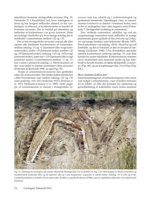 Hent pdf-fil - Dansk Geologisk Forening