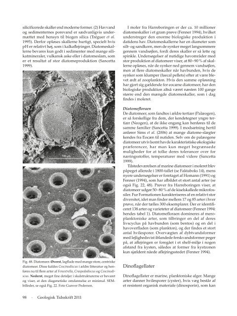 Hent pdf-fil - Dansk Geologisk Forening