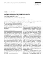 Template synthesis of Y-junction metal nanowires