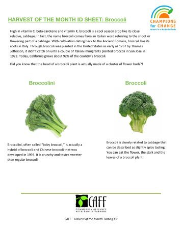 Broccoli Broccoli - Community Alliance with Family Farmers