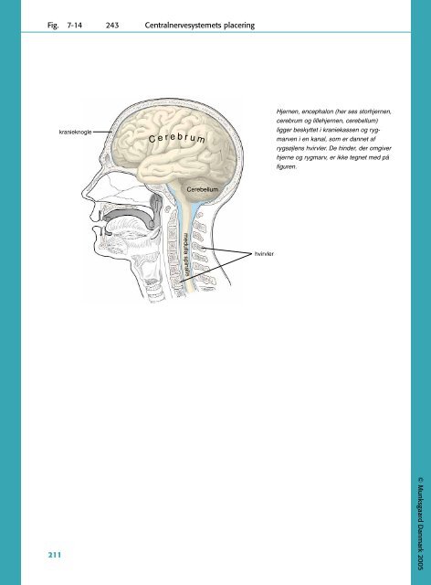 Fig. 7-13 241 Impulsoverf