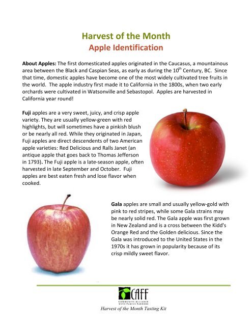 harvest of the month apples - Community Alliance with Family Farmers