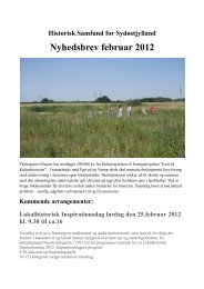 Nyhedsbrev februar 2012 - HSSO.dk