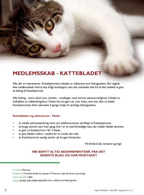 katte - Inges Kattehjem