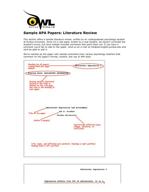 literature synthesis example