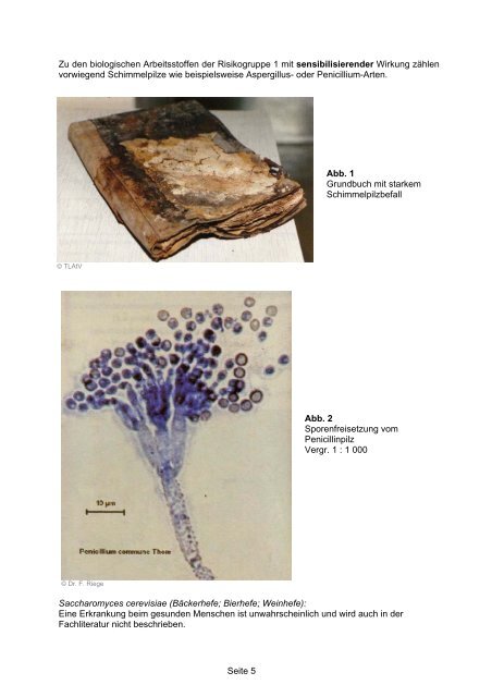 Biologische Arbeitsstoffe - Bakterien, Viren, Parasiten, Pilze in der ...