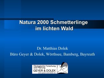 Dolek: Schmetterlinge in lichten Wäldern und ... - Lpv-augsburg.de