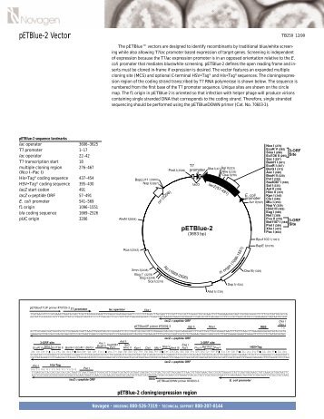 pETBlue-2 Vector - OpenWetWare