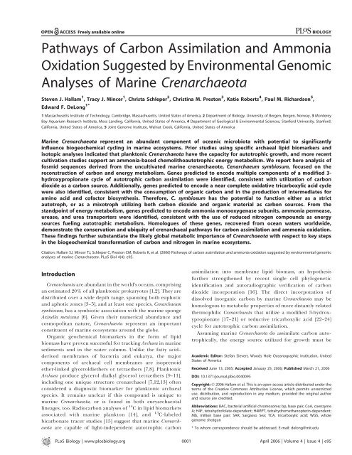 Pathways of Carbon Assimilation and Ammonia ... - OpenWetWare