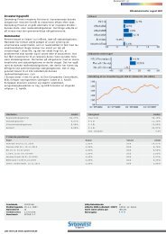 Investeringsprofil Kommentar - Sydinvest