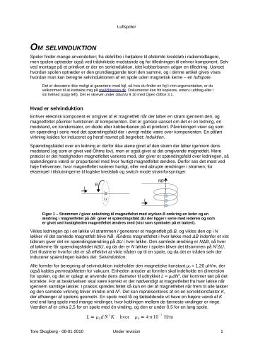 OM SELVINDUKTION - Tore A. Skogberg