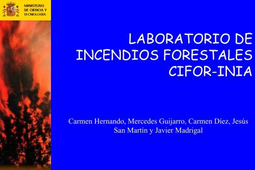 LABORATORIO DE INCENDIOS FORESTALES CIFOR-INIA