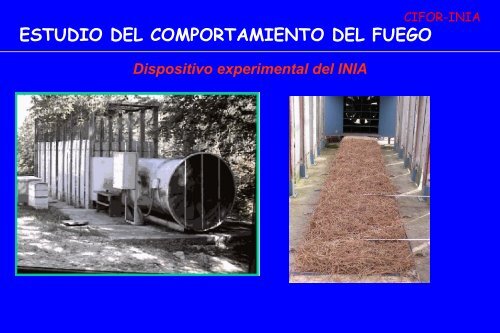 LABORATORIO DE INCENDIOS FORESTALES CIFOR-INIA