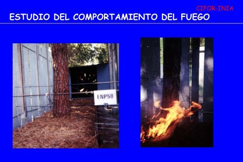 LABORATORIO DE INCENDIOS FORESTALES CIFOR-INIA