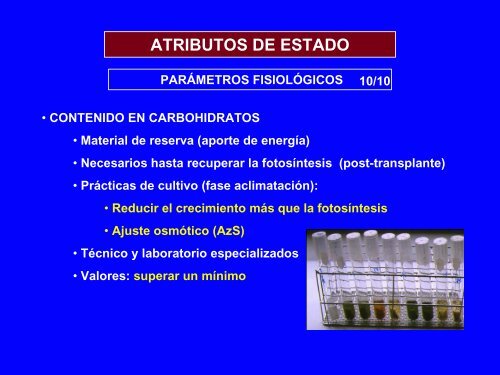 Atributos de ESTADO - Universidad de Huelva