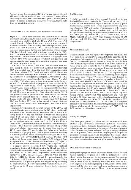 A molecular genetic map of cassava (Manihot esculenta Crantz)