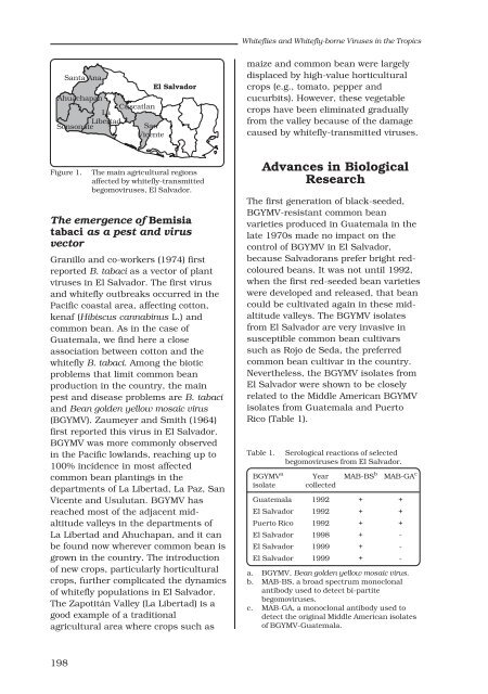 Whitefly and whitefly-borne viruses in the tropics : Building a ... - cgiar