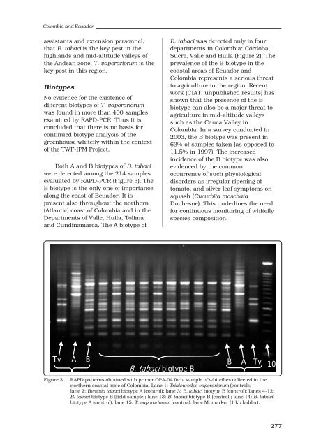 Whitefly and whitefly-borne viruses in the tropics : Building a ... - cgiar