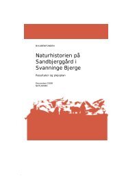 Naturhistorien på Sandbjerggård i Svanninge Bjerge