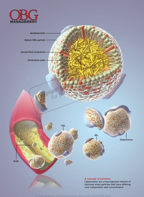 Monitor the Lipid Profile - South Jersey Heart Group