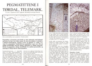 Pegmatittene i Tørdal, Telemark pdf - NAGS