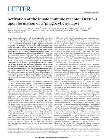 Activation of the innate immune receptor Dectin-1 ... - ResearchGate