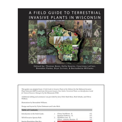 A Field Guide to Terrestrial Invasive Plants in Wisconsin [PDF]