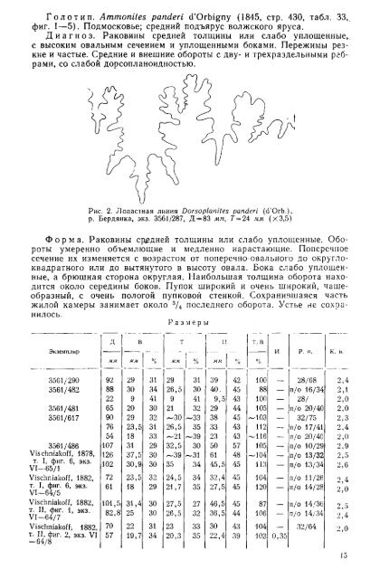 БОРЕАЛЬНЫЕ ЮРСКИЕ АММОНИТЫ (DORSOPLANITINAE) И ...