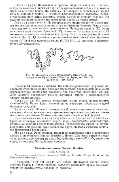 БОРЕАЛЬНЫЕ ЮРСКИЕ АММОНИТЫ (DORSOPLANITINAE) И ...