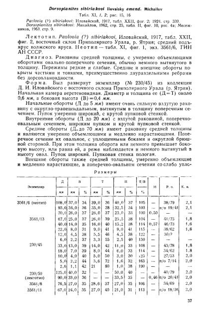 БОРЕАЛЬНЫЕ ЮРСКИЕ АММОНИТЫ (DORSOPLANITINAE) И ...