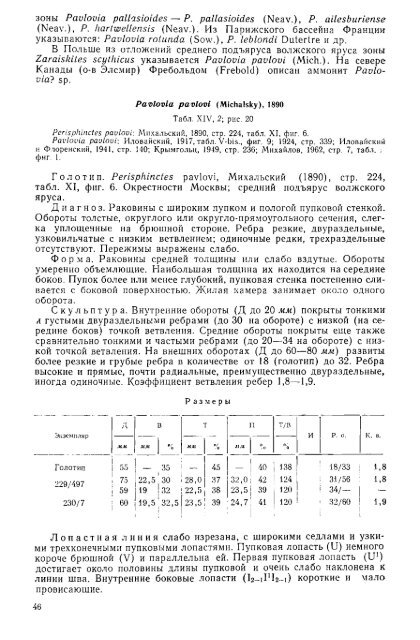 БОРЕАЛЬНЫЕ ЮРСКИЕ АММОНИТЫ (DORSOPLANITINAE) И ...