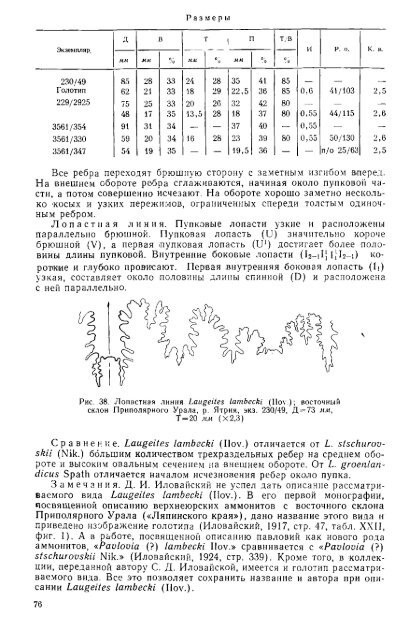 БОРЕАЛЬНЫЕ ЮРСКИЕ АММОНИТЫ (DORSOPLANITINAE) И ...