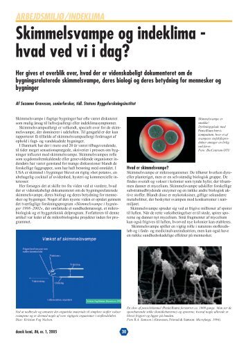 Skimmelsvampe og indeklima - hvad ved vi i dag? - Techmedia