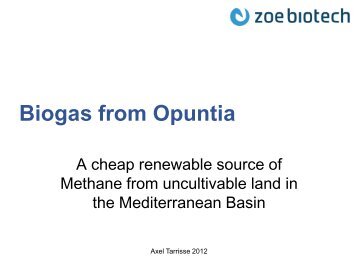 Biogas from Opuntia - CMI