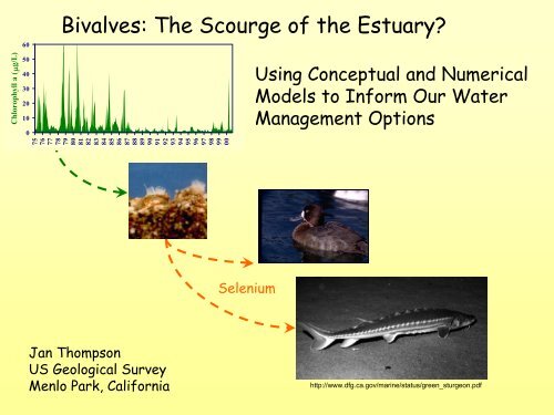 Water Management Scenarios and Clams - Jan Thompson, U.S.G.S.