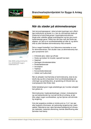 Når du støder på skimmelsvampe - BAR Bygge & Anlæg