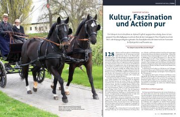 Kultur, Faszination und action pur - Mecklenburger Pferde