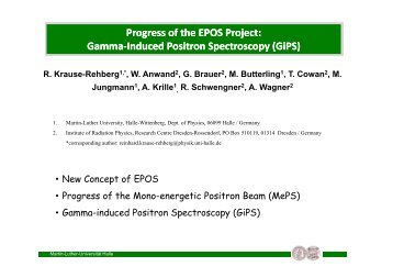 Gamma Induced Positron Spectroscopy - Positron Annihilation in Halle