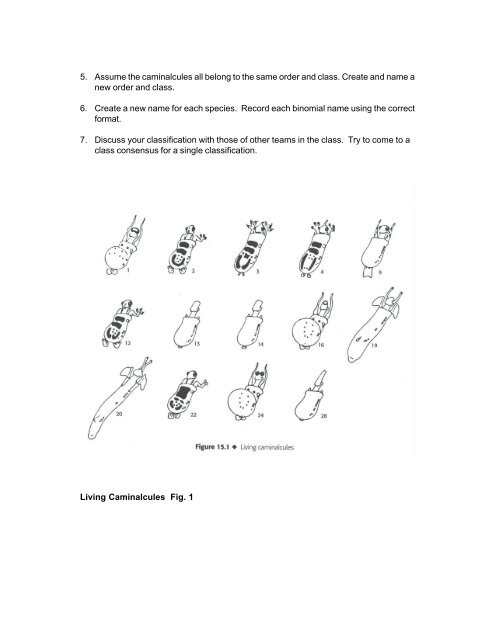 Canon Paleontology Curriculum Unit 3