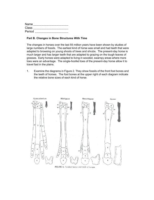 Canon Paleontology Curriculum Unit 3