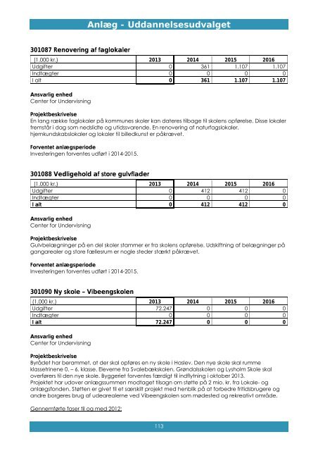 Budget 2013 til 1. behandling - Bind 2 - Faxe Kommune